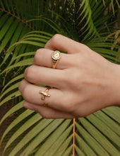 Load image into Gallery viewer, Kingdom Signet Ring