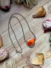 Load image into Gallery viewer, 116 - Sterling Silver Orange Spiny Oyster Bear Fixed Chain Necklace by Jason Ogg