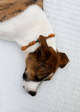 Load image into Gallery viewer, Pet Necklace: Raw Baltic Amber + Natural Green Jade