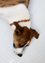 Load image into Gallery viewer, Pet Necklace: Raw Baltic Amber + Raw Amethyst