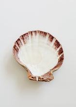 Load image into Gallery viewer, Sea Shell