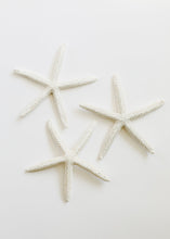 Load image into Gallery viewer, Starfish