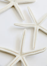 Load image into Gallery viewer, Starfish