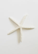 Load image into Gallery viewer, Starfish