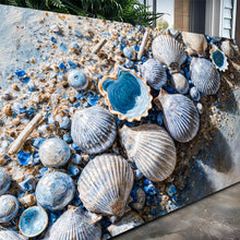 Load image into Gallery viewer, Sea Shells Modern Coastal Wall Art II
