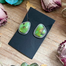 Load image into Gallery viewer, 17 - Sterling Silver Sonoran Turquoise Stud Earrings by Jason Ogg