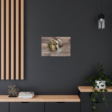 Load image into Gallery viewer, SAMPLE LISTING FOR PET MEMORIAL