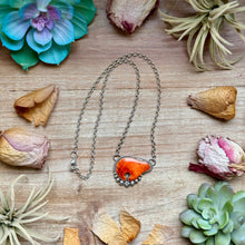 Load image into Gallery viewer, 116 - Sterling Silver Orange Spiny Oyster Bear Fixed Chain Necklace by Jason Ogg
