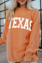 Load image into Gallery viewer, TEXAS Round Neck Long Sleeve Sweatshirt