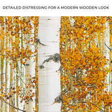 Load image into Gallery viewer, Autumn Tree Barks Canvas Wall Art