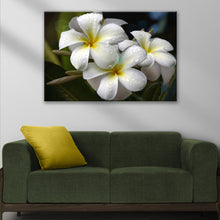 Load image into Gallery viewer, White Frangipani Flower Canvas Wall Art