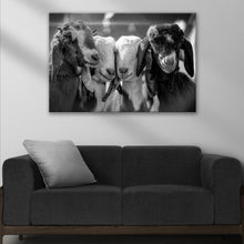 Load image into Gallery viewer, Black And White Baby Goats Canvas Wall Art