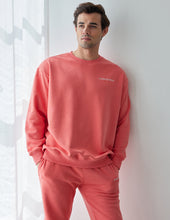 Load image into Gallery viewer, Basics Canyon Unisex Crewneck