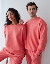 Load image into Gallery viewer, Basics Canyon Unisex Crewneck
