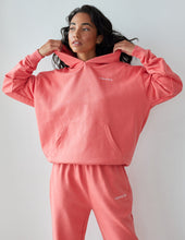 Load image into Gallery viewer, Basics Canyon Unisex Hoodie