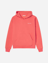 Load image into Gallery viewer, Basics Canyon Unisex Hoodie