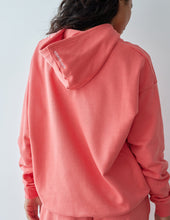 Load image into Gallery viewer, Basics Canyon Unisex Hoodie