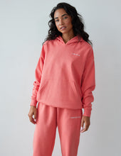 Load image into Gallery viewer, Basics Canyon Unisex Hoodie