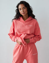 Load image into Gallery viewer, Basics Canyon Unisex Hoodie