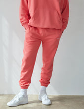 Load image into Gallery viewer, Basics Canyon Unisex Sweatpant