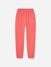 Load image into Gallery viewer, Basics Canyon Unisex Sweatpant