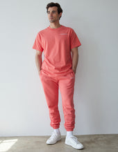 Load image into Gallery viewer, Basics Canyon Unisex Tee