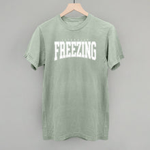 Load image into Gallery viewer, Literally Freezing Collegiate
