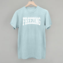 Load image into Gallery viewer, Literally Freezing Collegiate