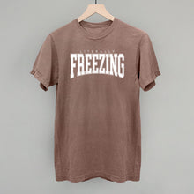 Load image into Gallery viewer, Literally Freezing Collegiate