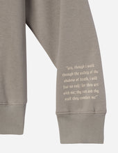Load image into Gallery viewer, Do Not Fear Grey Unisex Hoodie