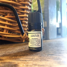 Load image into Gallery viewer, Take A Hike EO Blend, 5 ml