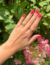 Load image into Gallery viewer, Proverbs 13:12 Ring