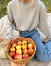 Load image into Gallery viewer, Fruit of the Spirit Grey LS Unisex Tee