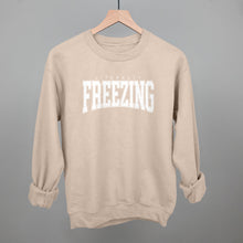 Load image into Gallery viewer, Literally Freezing Collegiate