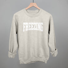 Load image into Gallery viewer, Literally Freezing Collegiate