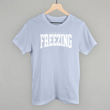 Load image into Gallery viewer, Literally Freezing Collegiate
