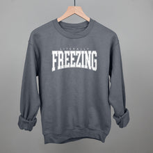 Load image into Gallery viewer, Literally Freezing Collegiate