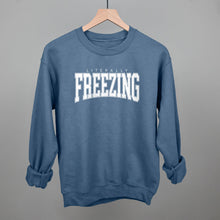 Load image into Gallery viewer, Literally Freezing Collegiate