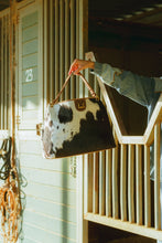 Load image into Gallery viewer, Lw Large Hobo Bag In Black &amp; White Cowhide