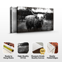 Load image into Gallery viewer, Highland Cattle Monochrome Canvas Wall Art