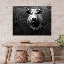 Load image into Gallery viewer, Longhorn Cattle Portrait Canvas Wall Art