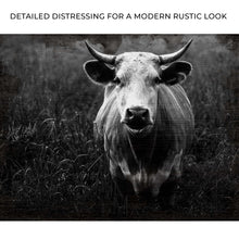 Load image into Gallery viewer, Longhorn Cattle Portrait Canvas Wall Art
