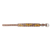 Load image into Gallery viewer, Prairie Sunflower Trail Dog Collar in Sandstone