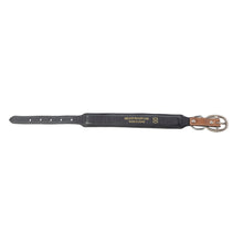 Load image into Gallery viewer, Prairie Sunflower Trail Dog Collar in Sandstone