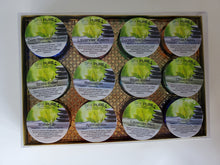 Load image into Gallery viewer, Gift Set with 12 Aromatherapy Shower Bombs - 100% Essential Oil Blends - foil wrapped 1.6 oz each