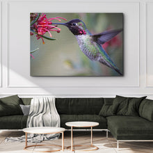Load image into Gallery viewer, Hummingbird Spring Canvas Wall Art