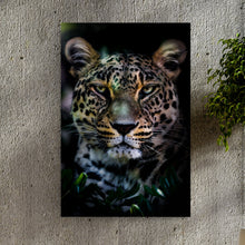 Load image into Gallery viewer, Sneaky Jungle Leopard Portrait Canvas Wall Art