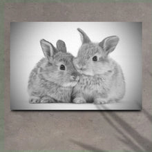 Load image into Gallery viewer, Gray Rabbits Sketch Canvas Wall Art