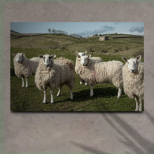Load image into Gallery viewer, Flock Of Sheep Canvas Wall Art