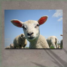 Load image into Gallery viewer, Curious Lamb Canvas Wall Art
